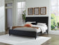 Danziar King Panel Bed with Mirrored Dresser and Chest