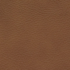 PCU10700/6A/58/62 : PCU10700S9