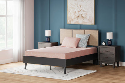 Ikidz Coral  Mattress And Pillow 2/Cn