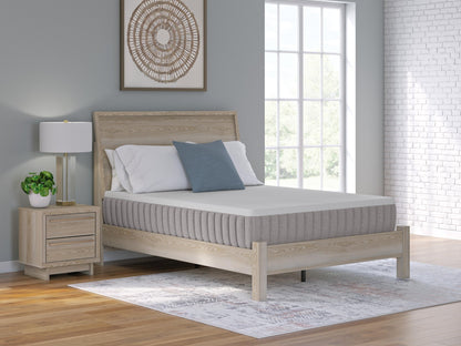 Terra Sleep Firm  Mattress